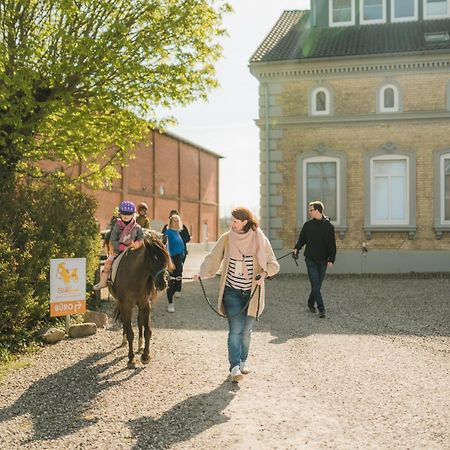 Buedlfarm - Der Familien-Erlebnishof In Strandnaehe Fehmarn Dış mekan fotoğraf