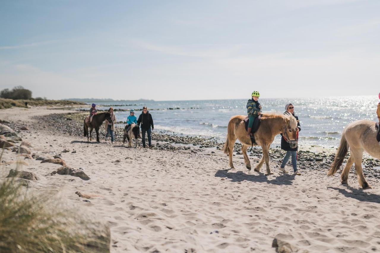 Buedlfarm - Der Familien-Erlebnishof In Strandnaehe Fehmarn Dış mekan fotoğraf