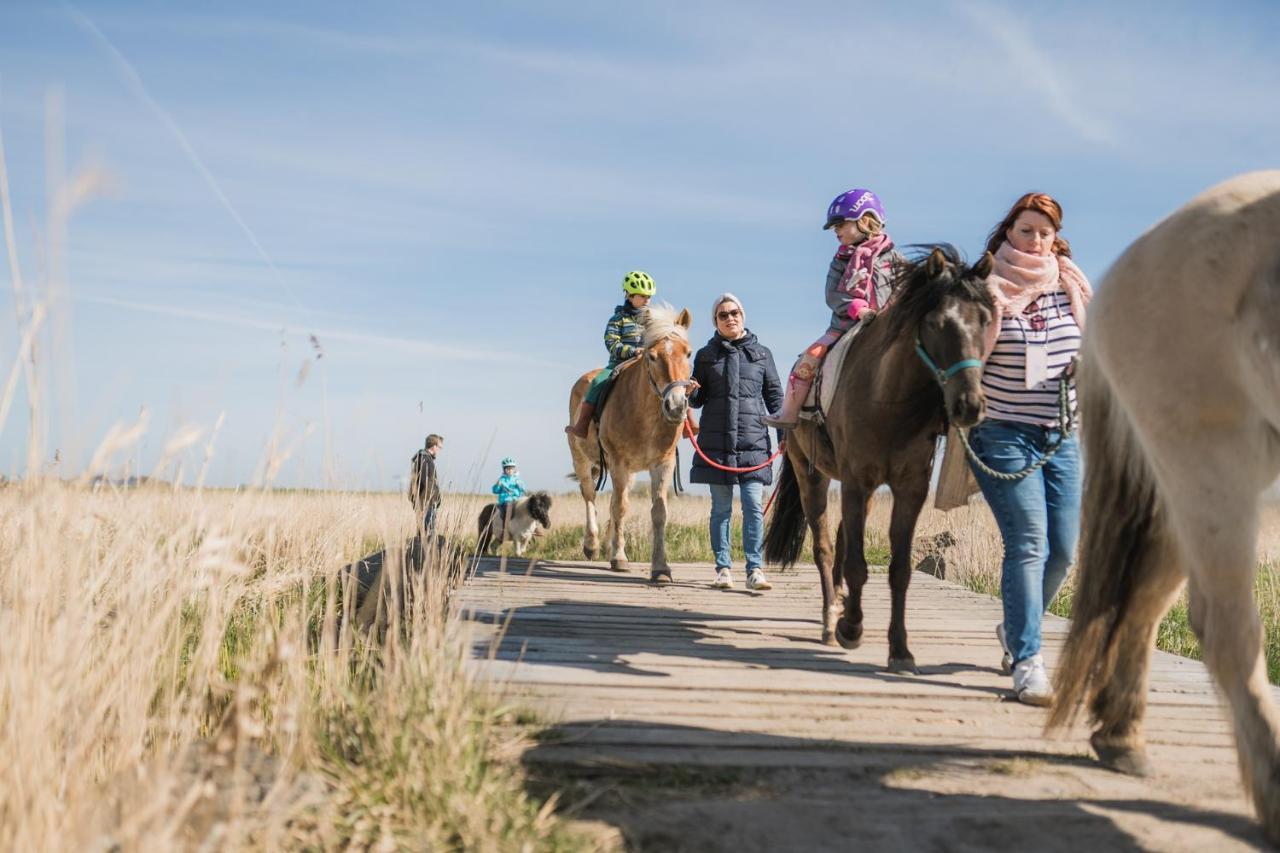 Buedlfarm - Der Familien-Erlebnishof In Strandnaehe Fehmarn Dış mekan fotoğraf