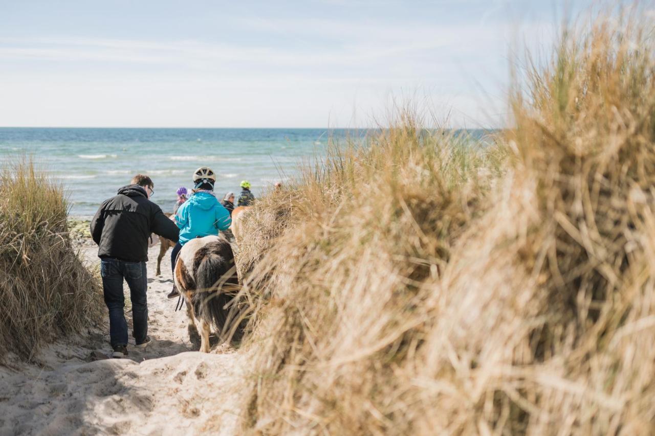 Buedlfarm - Der Familien-Erlebnishof In Strandnaehe Fehmarn Dış mekan fotoğraf